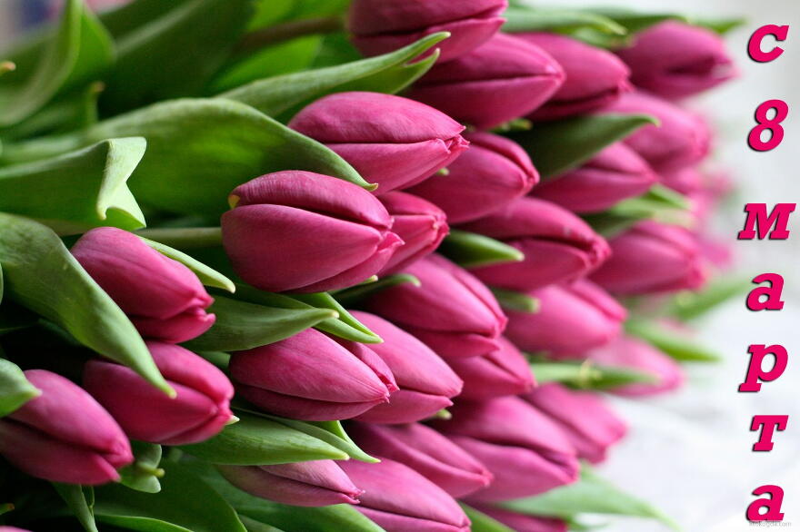 Открытка с 8 марта, тюльпаны (1).jpg